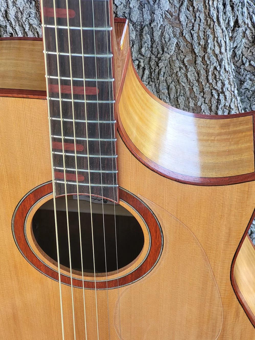 G21 Cutaway on Guitar Front