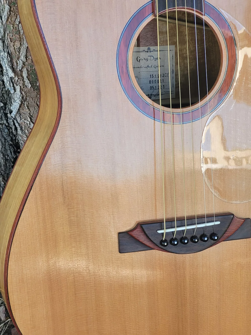 G21 Guitar Front Close-up
