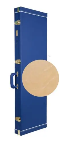 Blue-Cream Electric Case