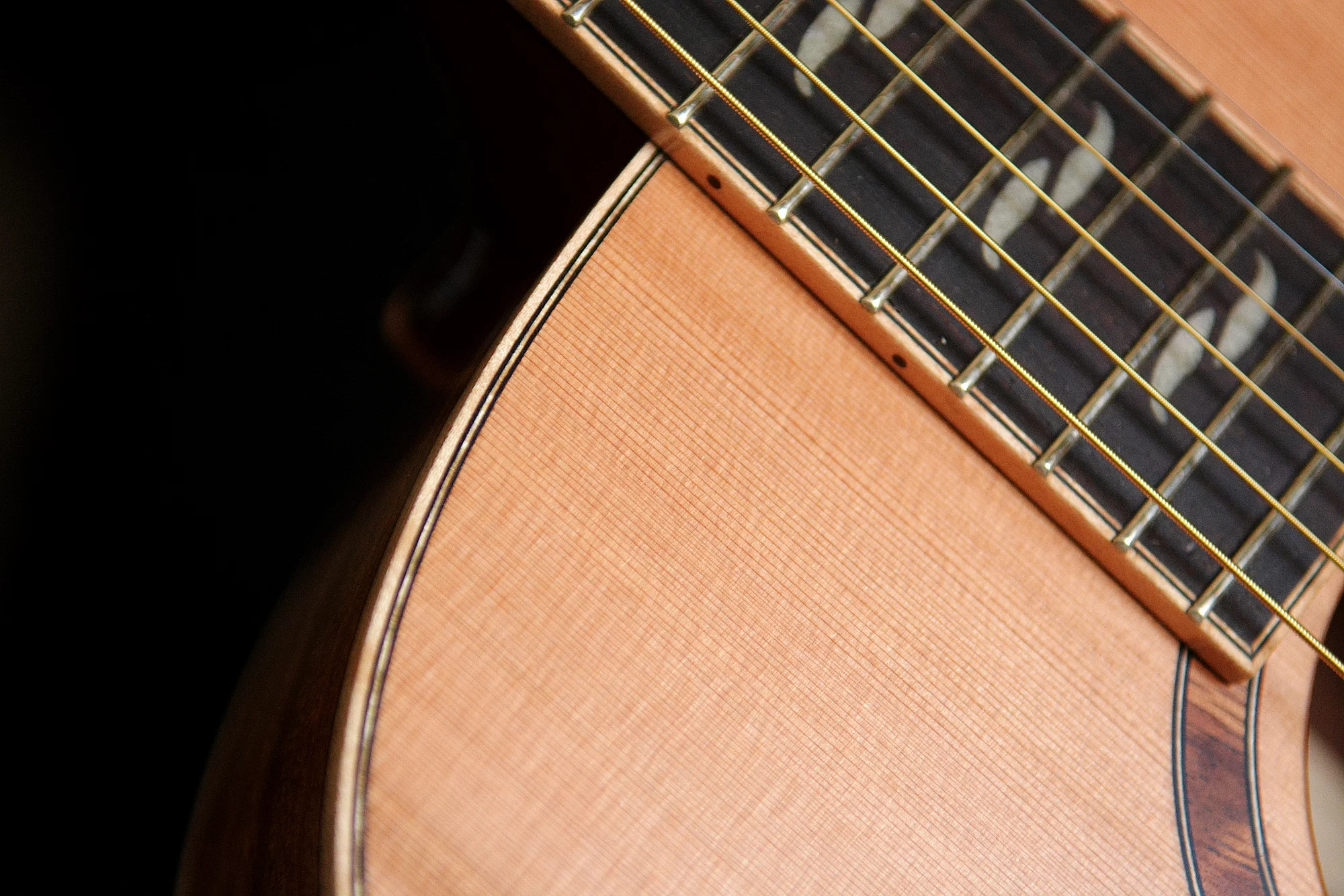 G22 Fret Board Markers