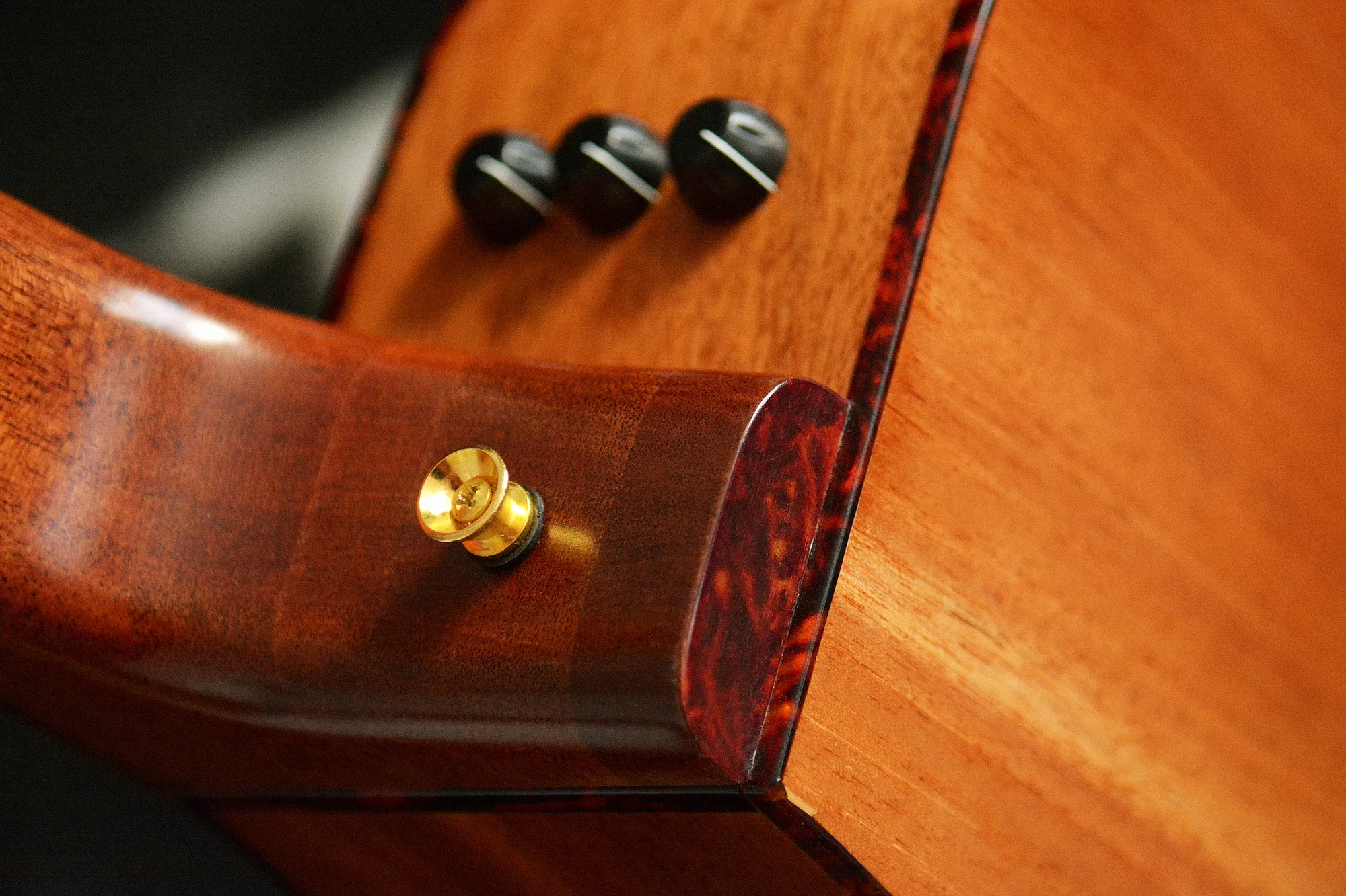 G18 Guitar Neck Controls