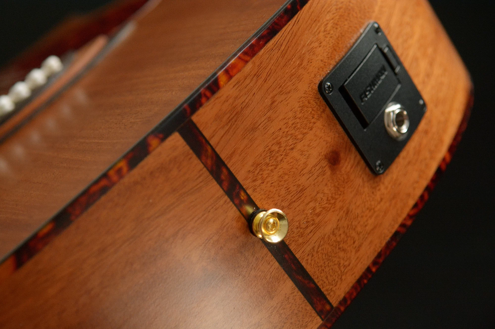 G18 Guitar Tail Graft Battery Box Jack