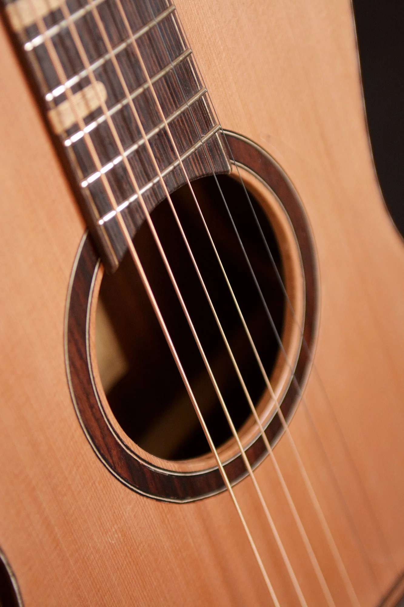 G20 Parlor Wedge Soundhole Rosette Design