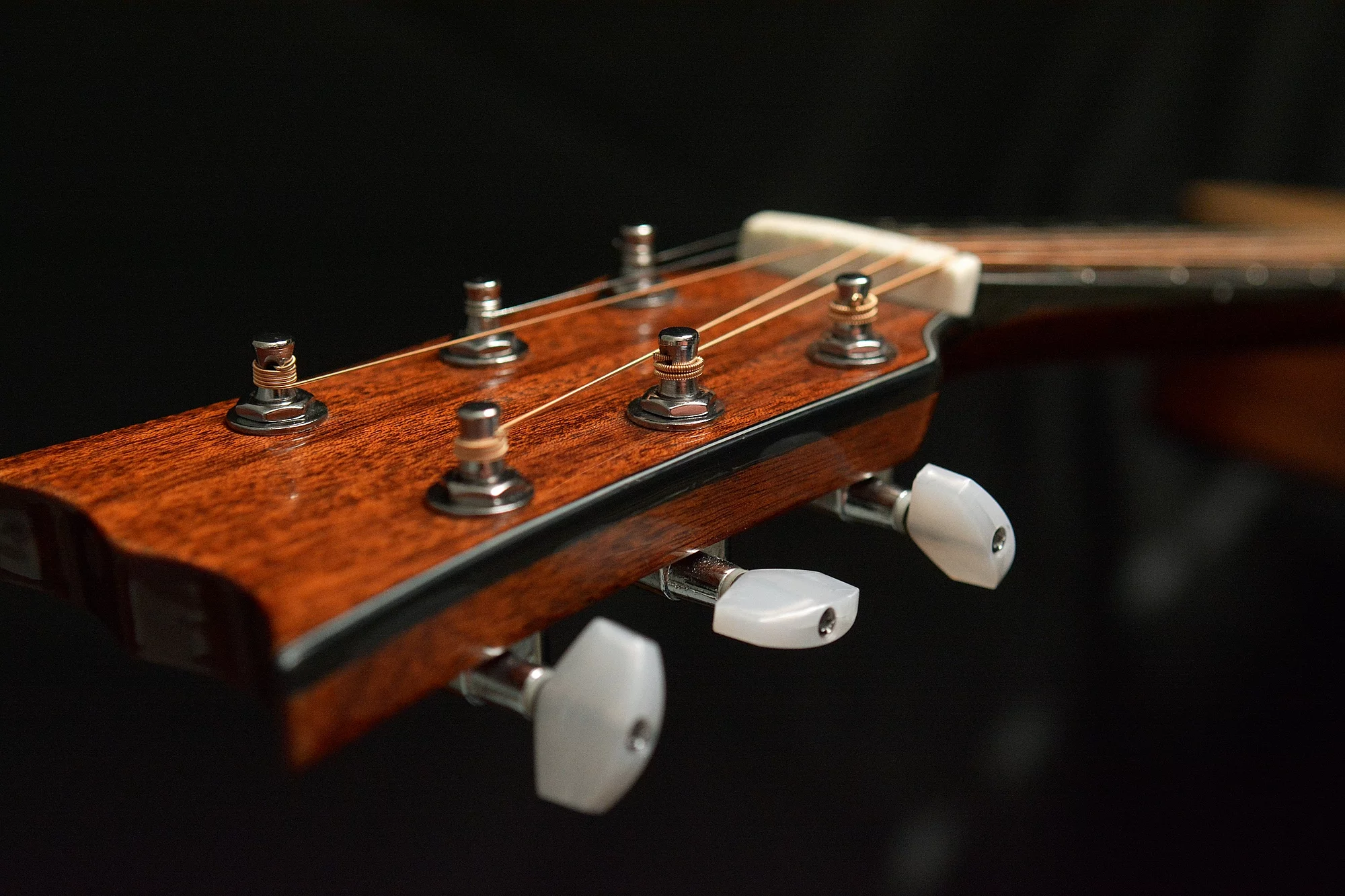 G9 Bearclaw Spruce Guitar Top of Headstock
