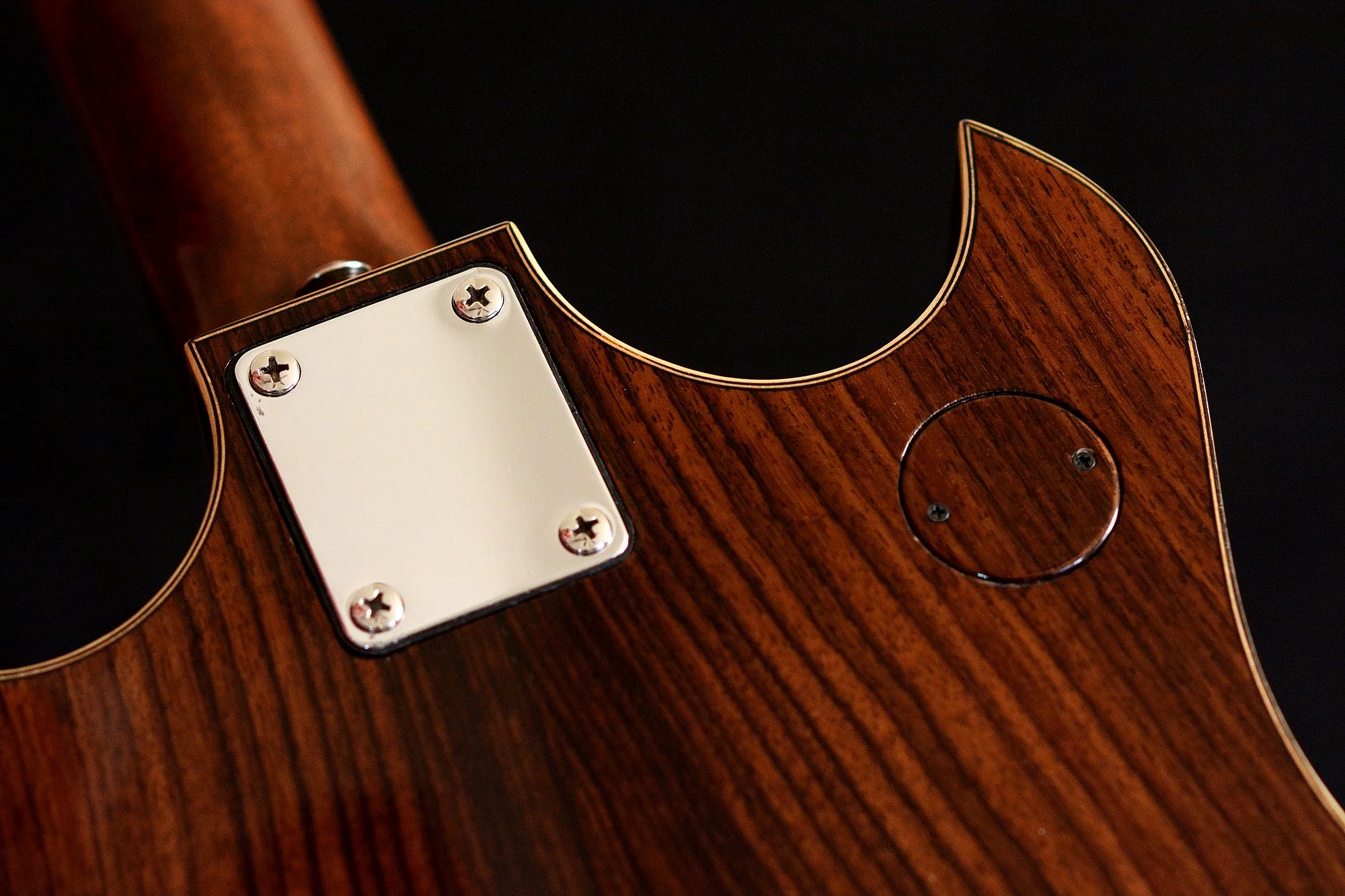 G24 Neck Plate Matched Grain Switch Panel